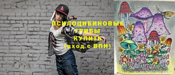 дмт Карталы